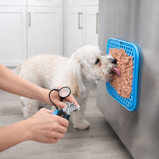 How to Use a Lick Mat to Calm Your Dog During Nail Trims