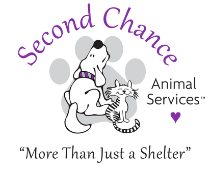 Donation to charity